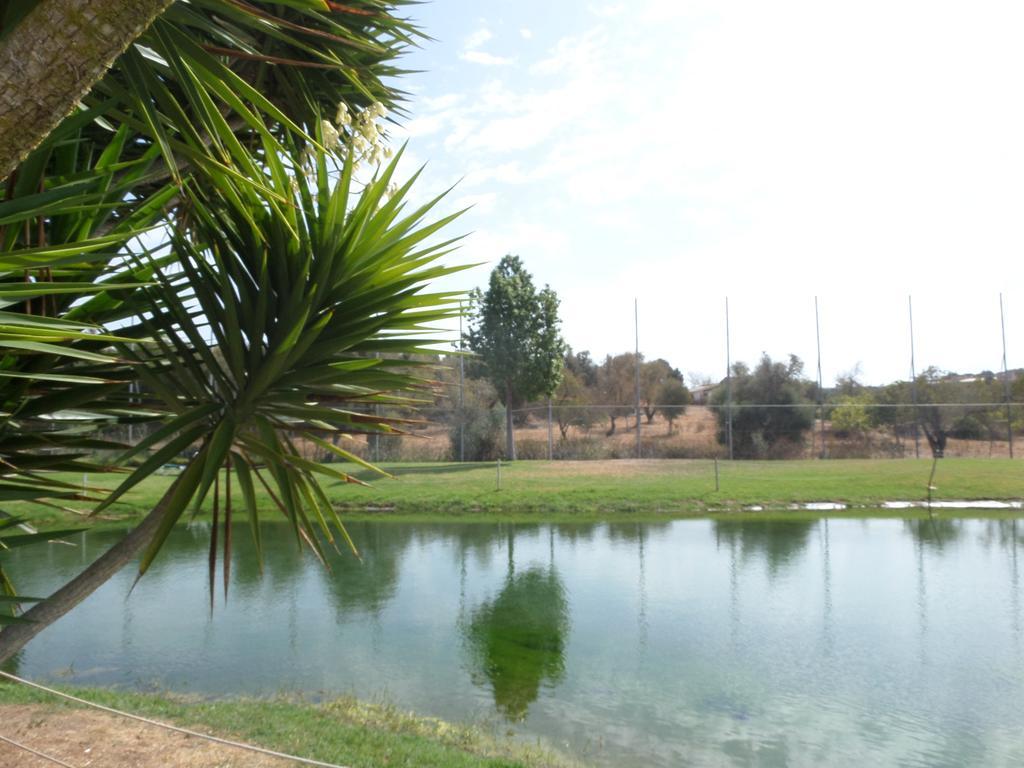 Yellow Alvor Garden Exterior foto